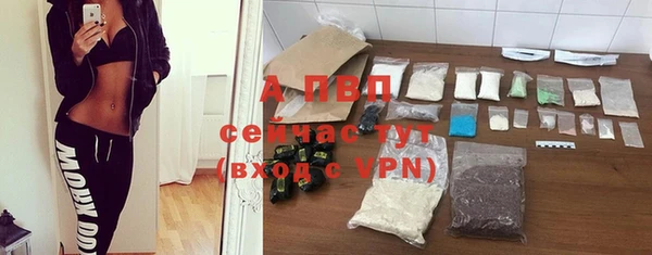 стаф Балахна
