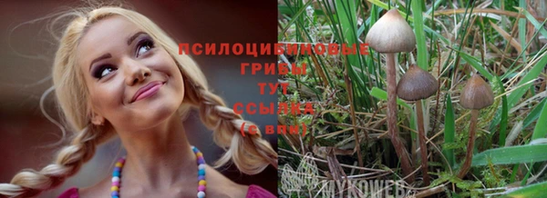 стаф Балахна