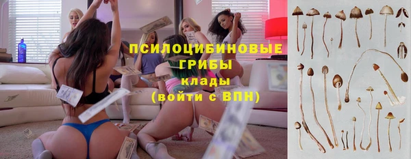стаф Балахна