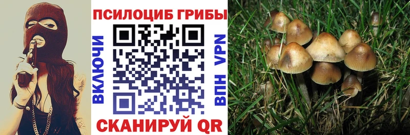 Псилоцибиновые грибы прущие грибы Верхнеуральск